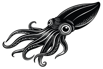 Argentine shortfin squid aquatic animal black and white vector - obrazy, fototapety, plakaty