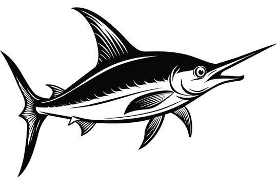 atlantic blue marlin black and white vector