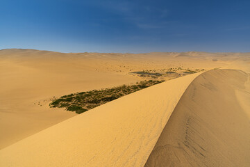 Fototapeta na wymiar Blick auf ein große Sanddüne der Wüste Namib