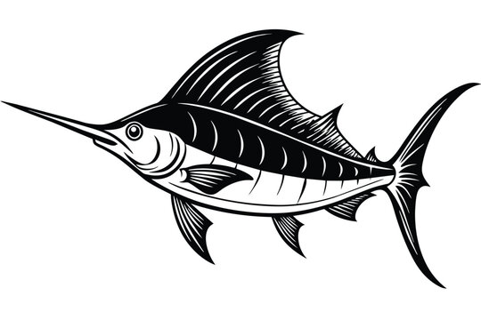 recommend clip art: black and white billfish vector
