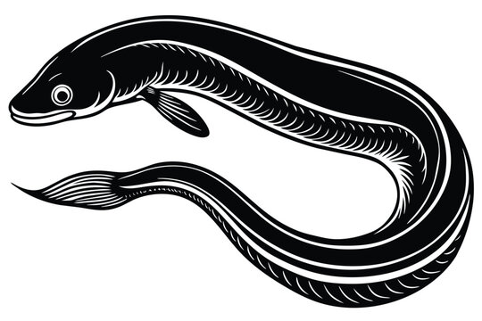 black and white eel aquatic animal vector