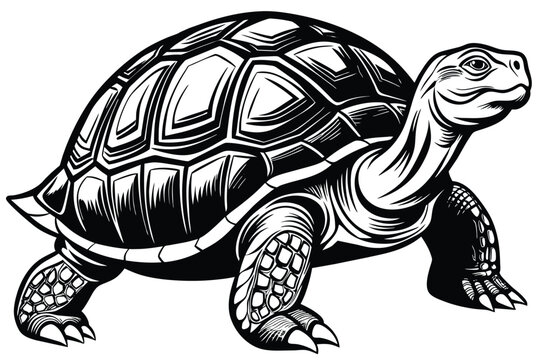 black and white turtle walking, side view clip art preview