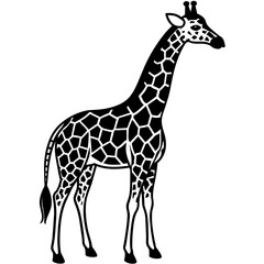 Obraz premium simple--ziraf vector design 