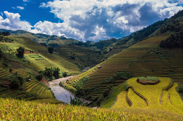 Rice fields on terraced of Mu Cang Chai District, YenBai province, Northwest Vietnam