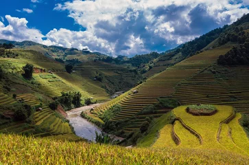 Foto op Plexiglas Mu Cang Chai Rice fields on terraced of Mu Cang Chai District, YenBai province, Northwest Vietnam