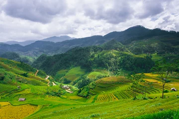 Photo sur Plexiglas Mu Cang Chai Rice fields on terraced of Mu Cang Chai, YenBai, Vietnam. Rice fields
