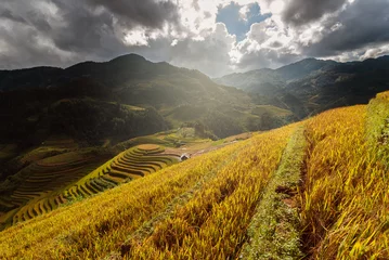 Photo sur Plexiglas Mu Cang Chai Top view of Rice terraced fields on Mu Cang Chai District,