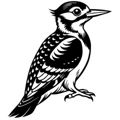 woodpecker vector design 