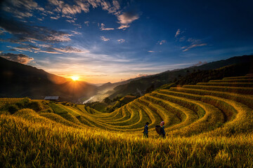 Two undefined Vietnamese Hmong are walking in the fantastic landscape of rice field terrace