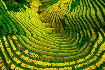 Fotobehang Vietnamese Tranquility, Aerial Harmony of Terraced Rice Fields © FaiV007