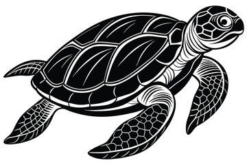 Fototapeta premium sea turtle vector