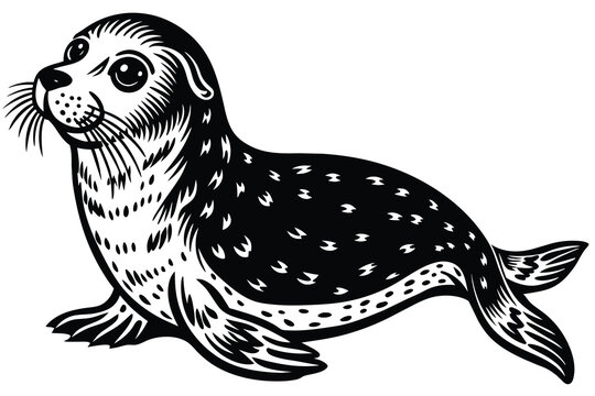 recommend clip art: seal aquatic animal vector