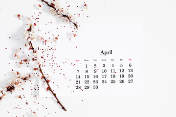 Flat lay, top view of paper desk calendar for April 2024, blooming tree branches with white flowers...