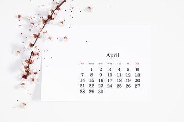 Flat lay, top view of paper desk calendar for April 2024, blooming tree branches with white flowers on isolated white background.