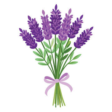 recommend clip art: spring of lavender vector on isolated background