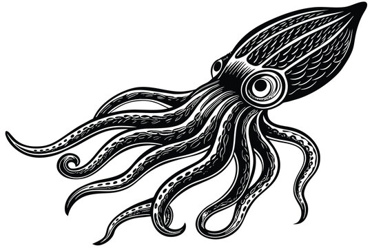recommend clip art: black squid vector isolated on white