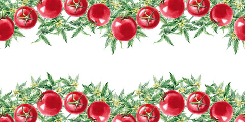 Seamless border with tomatoes in watercolor illustration on a white background. Hand drawn illustration of frame for cards, invitations, cookbooks, dessert recipes and rustic organic products.