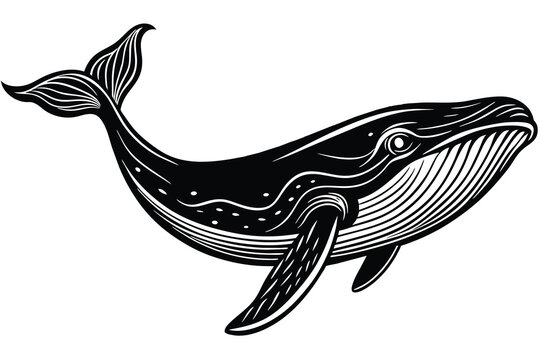 recommend clip art: black whale vector isolated on white