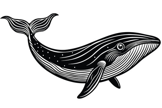 recommend clip art: black whale vector isolated on white