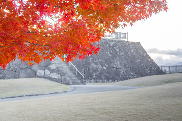 紅葉と甲府城の石垣
