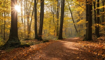 A serene autumn path blanketed with fallen leaves winds through a golden forest, basking in the warm glow of a setting sun peeking through the trees.