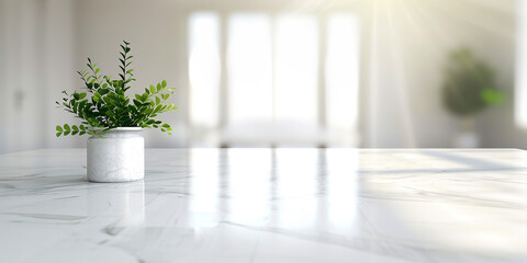 Vase and plant isolated on white marble table and blurred windows background with copy space, apartment or kitchen or living room interior design