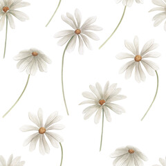 Watercolor seamless pattern with daisy. Hand drawn floral  illustration on white background - 777605372
