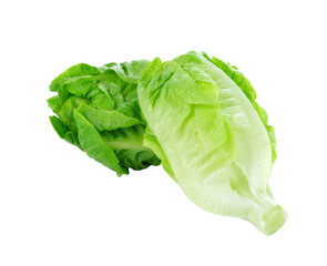 fresh baby cos (lettuce) transparent png