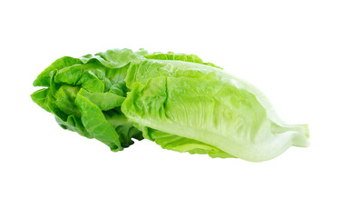 fresh baby cos (lettuce) transparent png