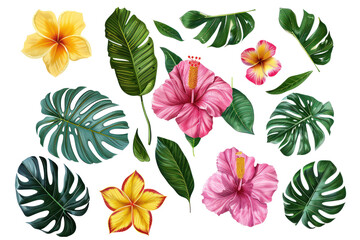 hawaiian leaves and flowers on isolated transparent background