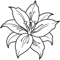 For T-shirt Design Vector black and white lily - Vector - Vector art - Vector illustration - Vector design - Latest Vector - Ultimate Vector