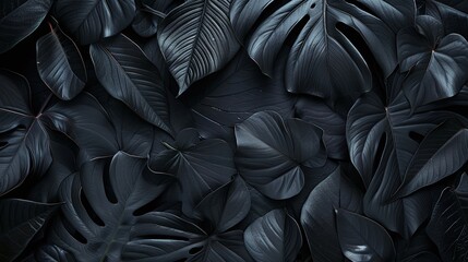 dark nature concept with textures of abstract black leaves for tropical leaf background