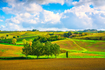 Fototapeta premium Autumn in Tuscany, hill and trees. Castellina in Chianti, Italy