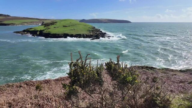 Spring season on Irish coast with sunny days, blooming gorse bush, green pastures and high waves