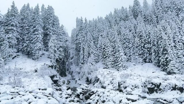 First snow snowing white out blizzard fog October November fall autumn river waterfall boulder rocks Stubai Stubaital glacier ski resort Tyrol Innsbruck Austrian Europe Alps mountain static shot