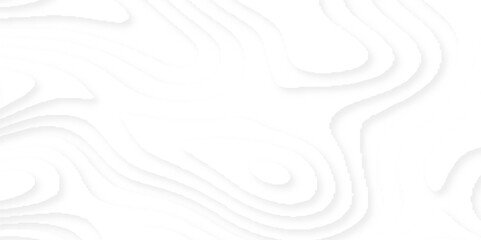 Abstract paper cut background with multi layers effect and copy space. Smooth origami shape paper cut white and gray texture with gradient, topographic relief imitation vector illustration