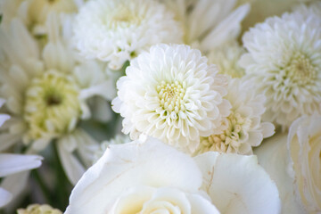 Obraz na płótnie Canvas Elegant white chrysanthemums and roses in a floral arrangement