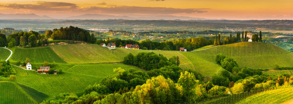 South styria vineyards landscape, near Gamlitz, Austria, Europe. Grape hills view from wine road in spring. Tourist destination, travel spot.