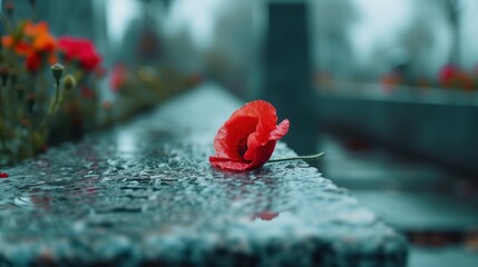 Cinematic close-up shot of a vibrant red poppy resting gracefully on a war memorial, framed by the solemnity of the monument, echoing the sacrifices made for freedom