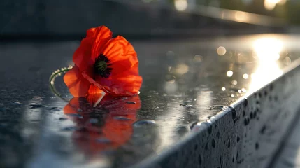 Foto op Plexiglas Cinematic close-up shot of a vibrant red poppy resting gracefully on a war memorial, framed by the solemnity of the monument, echoing the sacrifices made for freedom © SazzadurRahaman