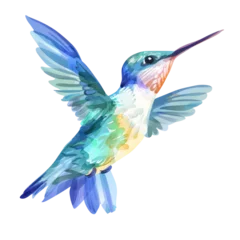 Tapeten Kolibri water colored humming bird on isolated transparent background