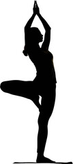 Silhouette of a woman in Tree Pose capturing the essence of balance and tranquility in yoga practice cut out on transparent background