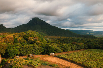 Bird's-eye view of the beautiful fields of the island of Mauritius and the mountains, Casella Park - obrazy, fototapety, plakaty