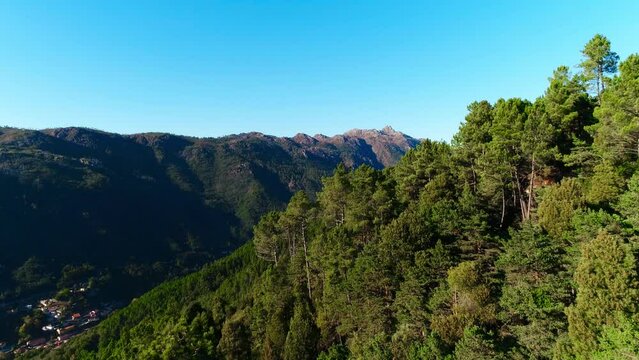 Flying Above Green Trees in the Mountains with Blue Sky in the Background