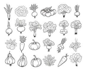 vegetables fruit. garden gardening. food composition. berries ears harvesting