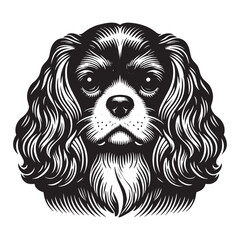 Cavalier King Charles Spaniel. Beautiful engraving monochrome vector illustration. Icon, logo, isolated object