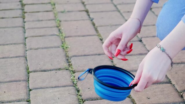 Girl lays out a collapsible silicone traveling bowl for a dog. A walk on a sunny day in a city park. Care concept, animal life

