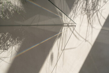 Sunny interior with shadows of glass door and flowers