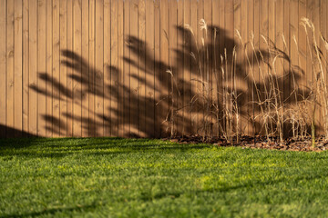 View at fence of wood boards at sunny day
