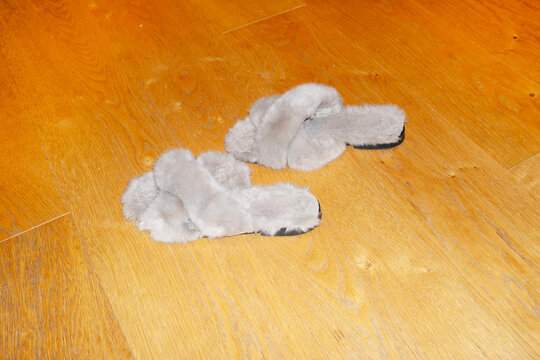 Fluffy soft cozy grey indoor slippers with hard direct flashlight